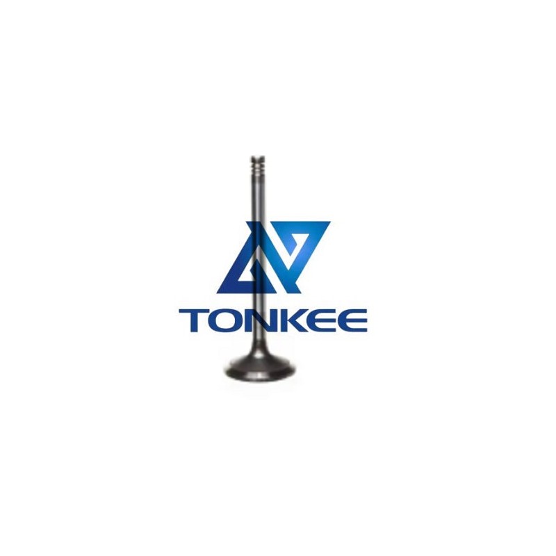 Shop Volvo D7D intake valve 20714469 20405502 | Tonkee®