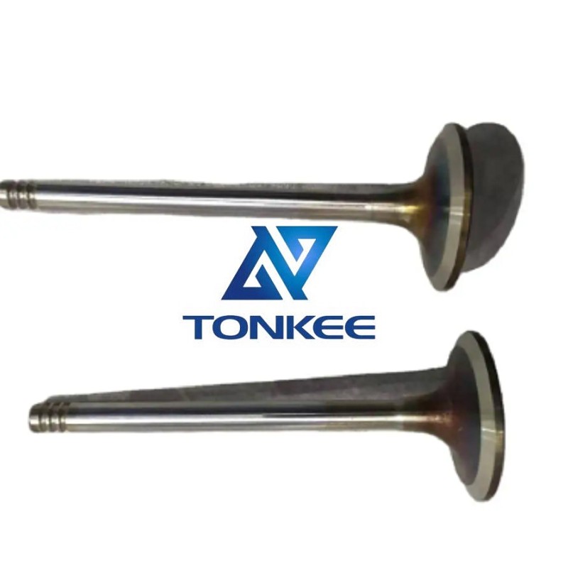 China Valve for D6E Engine Of EC210BLC excavator voe20798533 20798699 | Tonkee®